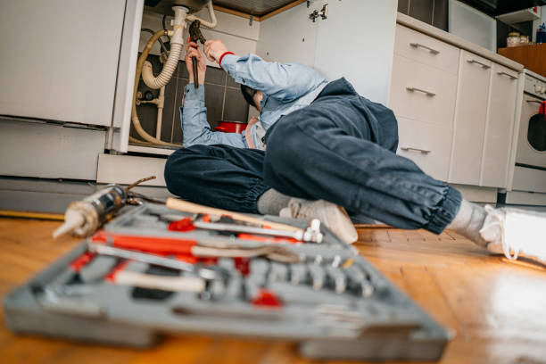Best Sprinkler Systems  in Pequot Lakes, MN